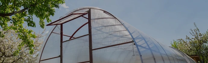 фото категории